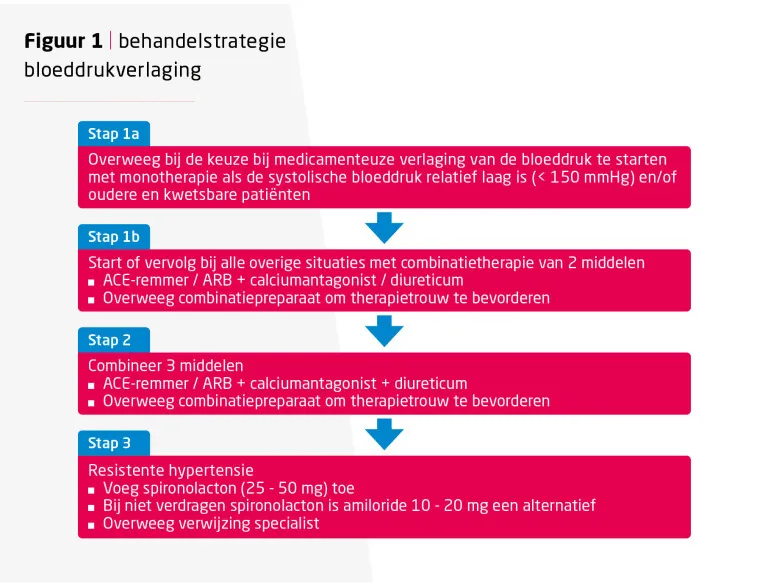 Behandelstrategie bloeddrukverlaging: stap 1a monotherapie bij relatief lage SBD of oudere/kwetsbare patiënt, stap 1b combinatie van 2 middelen, stap 2 combinatie van 3 middelen, stap 3 spironolacton bij resistente hypertensie. Bron: NHG-Standaard CVRM, Praktische handleiding v3.2.