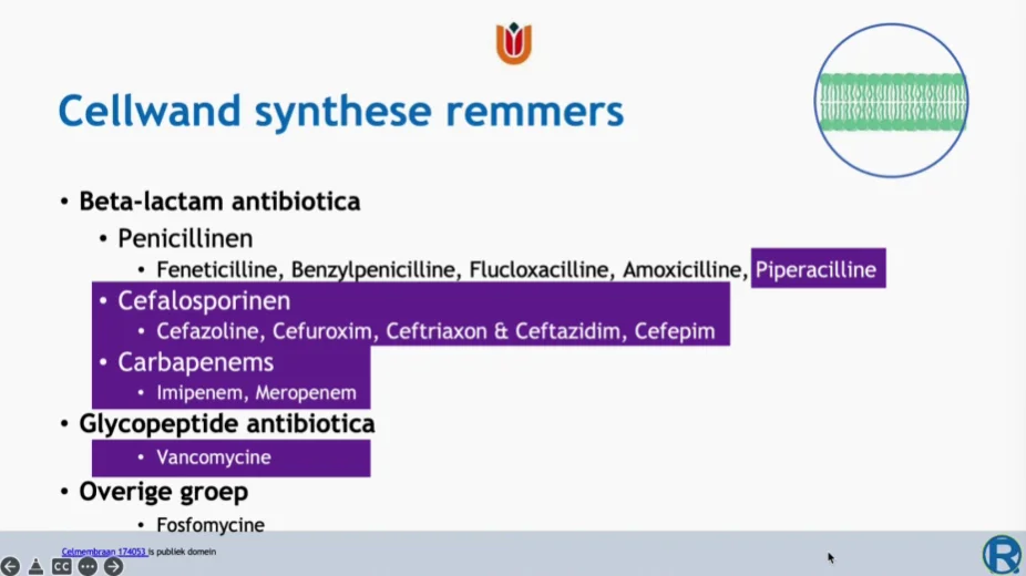 Overzicht celwandsynthese-remmers; paars = intraveneus