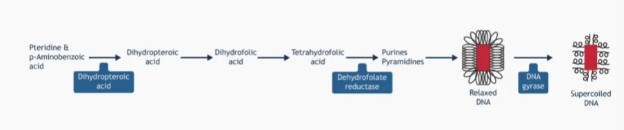 Werkingsmechanisme remmers van DNA-synthese
