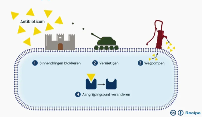 Mechanismen van resistentie