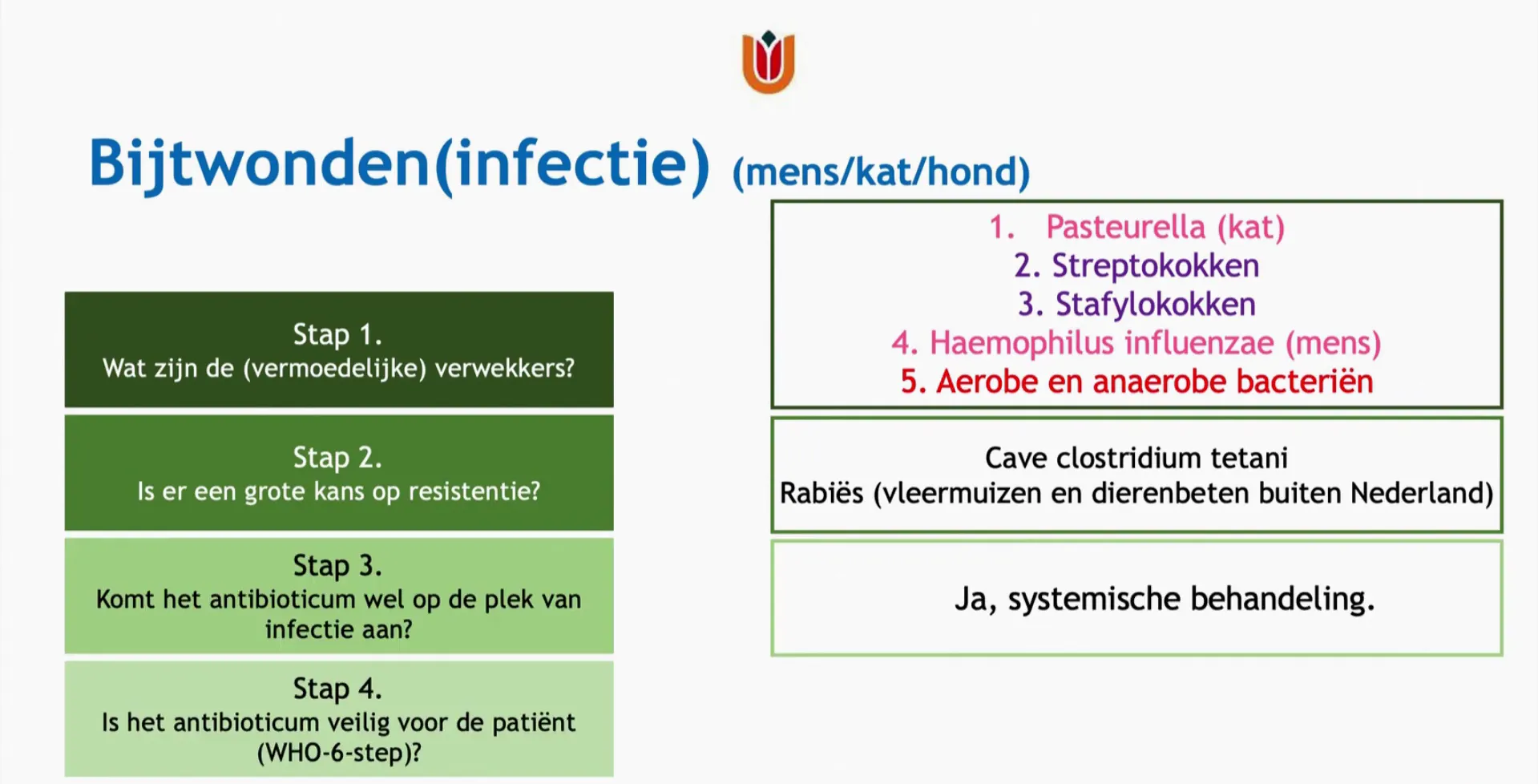 Bijtwondinfecties mens/kat/hond — overzicht