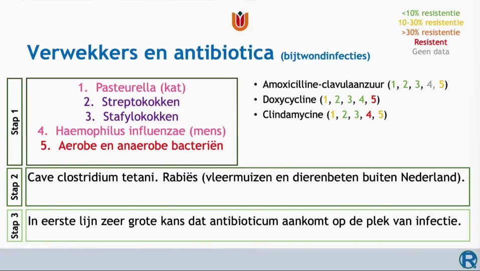 Verwekkers en antibiotica bij bijtwondinfecties